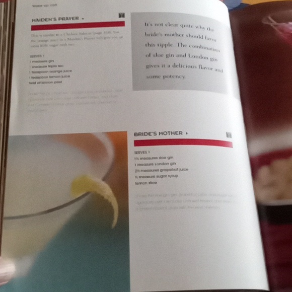 The Bartender's Guide- Paragon Books Ltd. 2008 - Picture 11 of 17